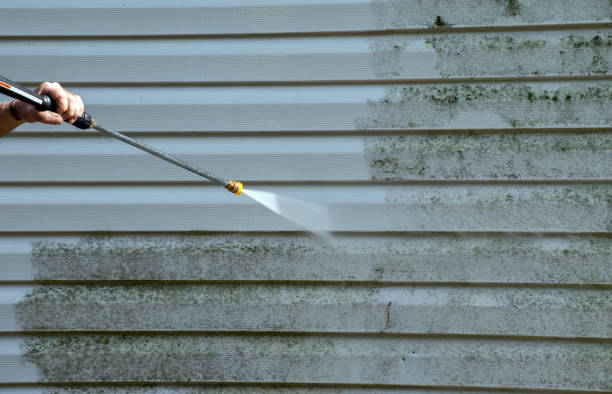 Trusted Chesapeake, OH Pressure Washing Services Experts